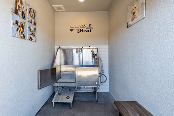 Designated dog wash room